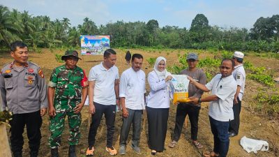 Camat Kampar Utara Ikuti Penanaman Jagung Di Desa Muara Jalai