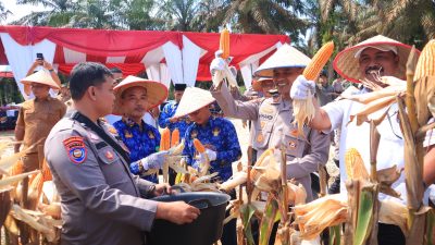 Kapolres Kampar Panen Raya Jagung: Dorong Ketahanan Pangan di Dua Lokasi