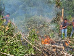 Gercep, Kasat Reskrim Kampar Berhasil Amankan Pelaku Pembakaran Lahan