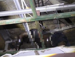 Penemuan Mayat Mr. X Gegerkan Warga Sekitar