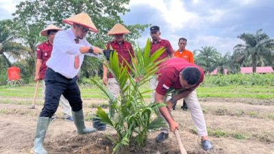 Lapas Bangkinang Latih Warga Binaan Budidaya Kelapa Sawit di Lahan Kosong