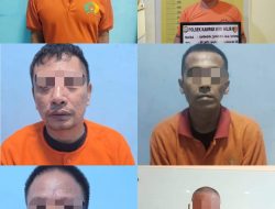 6 Pelaku Diamankan Polsek Kampar Kiri Hilir, Baca Kasusnya