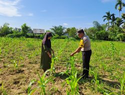Kolaborasi Wujudkan Swasembada Pangan, Kapolsek Bangkinang Barat: Bersama Masyarakat Polri Hebat