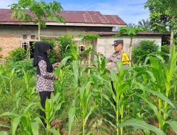 Bersama Masyarakat, Polsek Bangkinang Barat Wujudkan Ketahanan Pangan Nasional