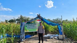 Jagung Pipil Salo Timur Rutin Dijenguk Polsek Bangkinang Barat, Begini Keadaan Terkininya