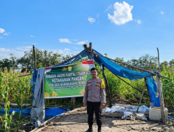 Jagung Pipil Salo Timur Rutin Dijenguk Polsek Bangkinang Barat, Begini Keadaan Terkininya