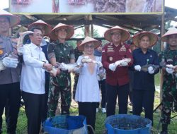 Panen Ikan Patin Bersama Forkopimda Kampar, Ini Kata Kajari Kampar