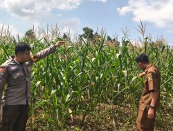 Polisi Bangkinang Barat Rutin Lakukan Pembinaan Kepada Masyarakat untuk Mendukung Ketahanan Pangan