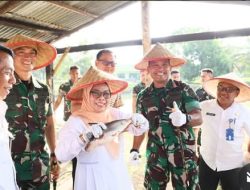 Optimis Dukung Ketahanan Pangan Nasional, Yonif 132/BS Panen Raya Ikan Patin